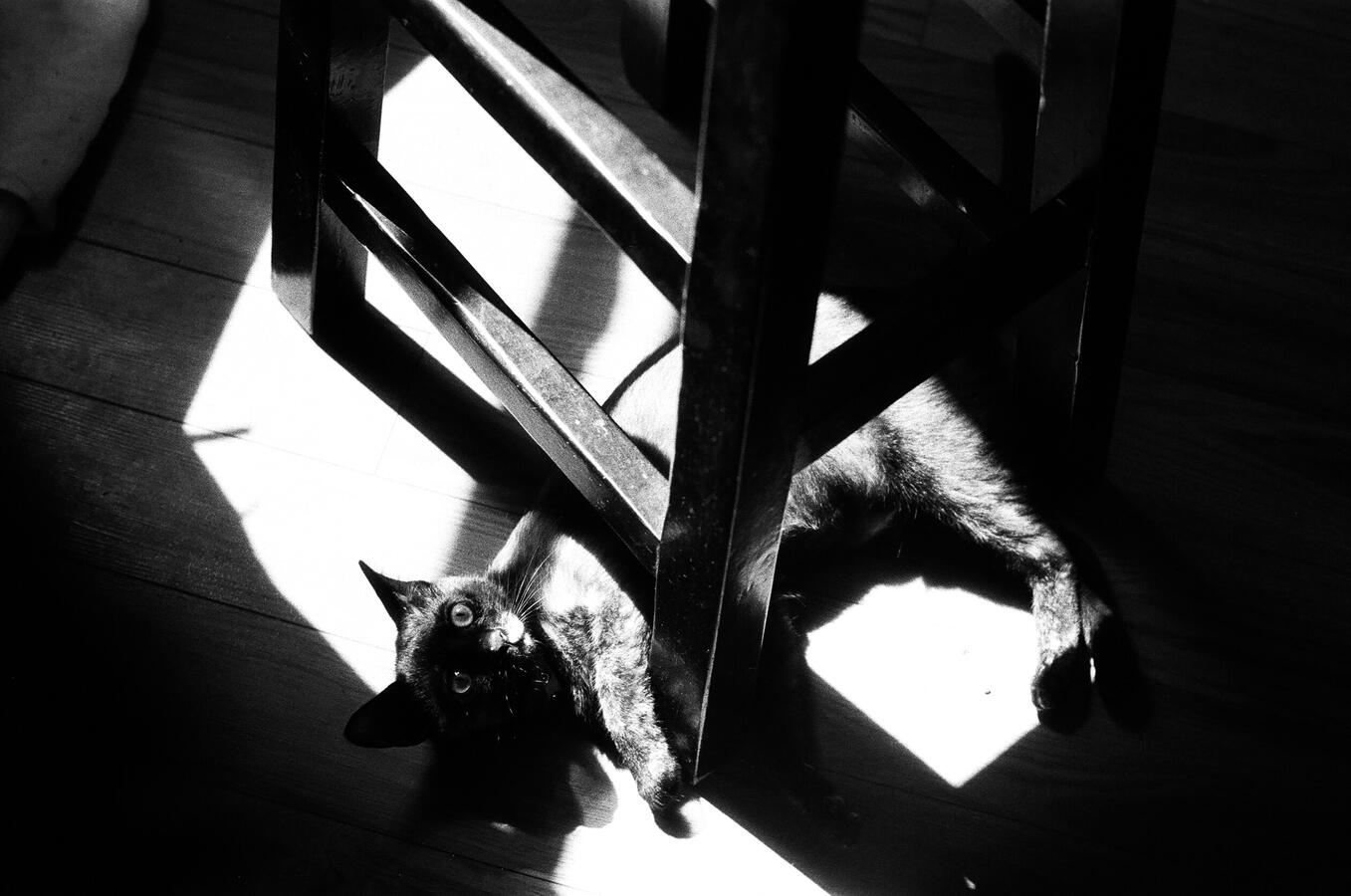 Portrait of Marcel 2023