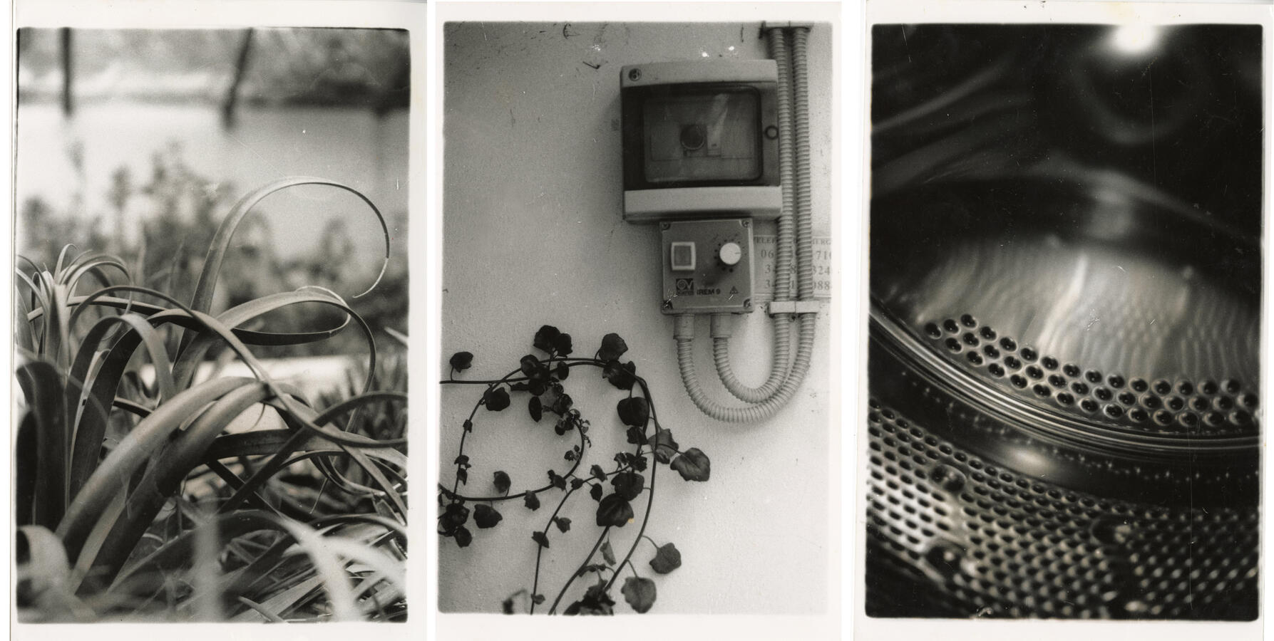 Triptych Silver gelatin prints, 2022