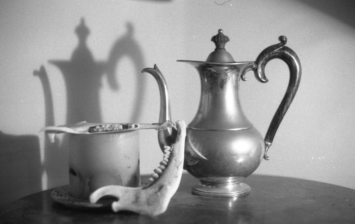 Natura Morta Darkroom Film Lab Contest Winner