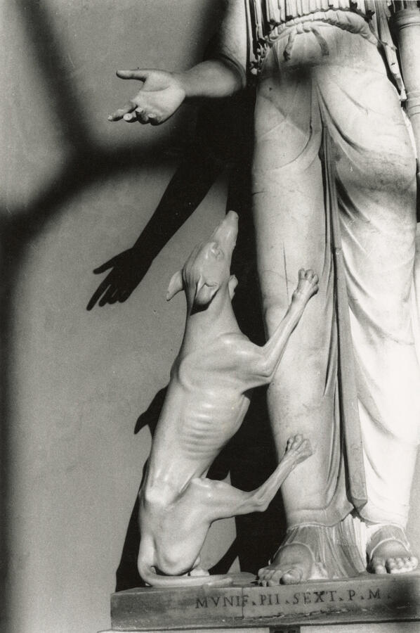 beg Silver gelatin print, 2022